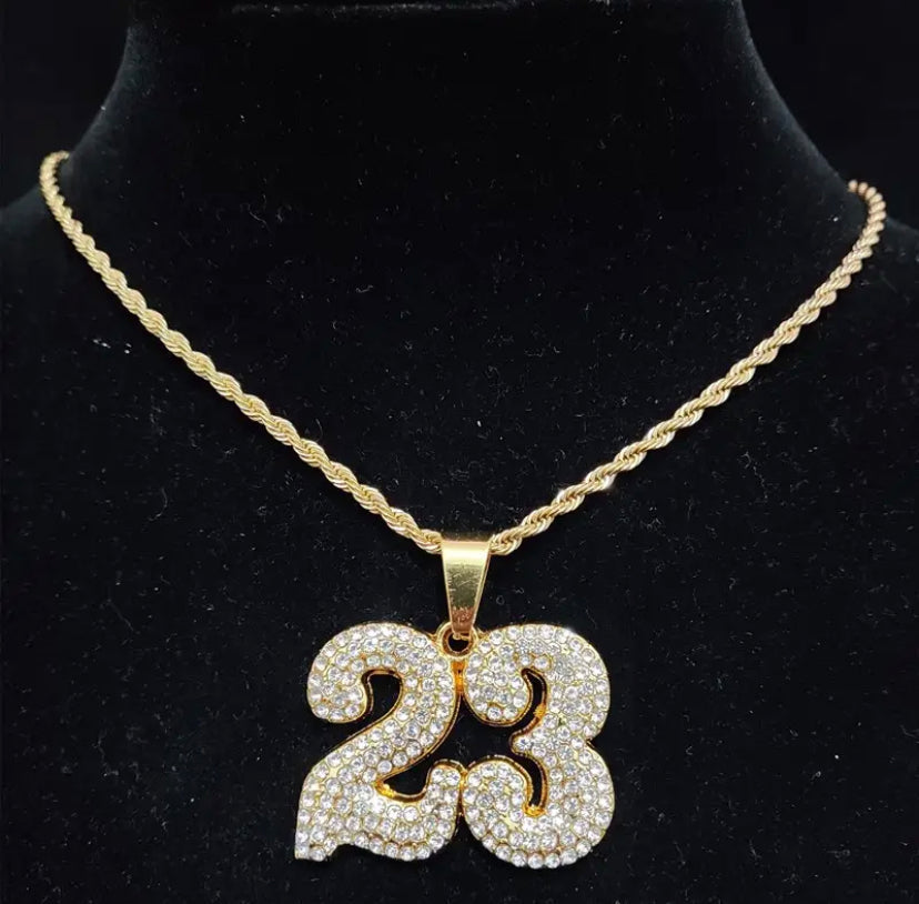 23 savage ICE necklace!