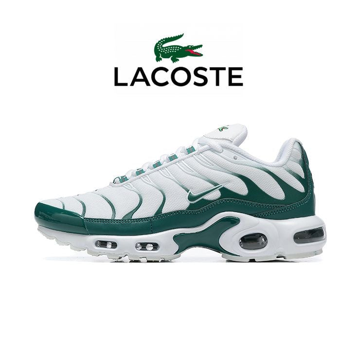 Basket Tn Editions limité !
