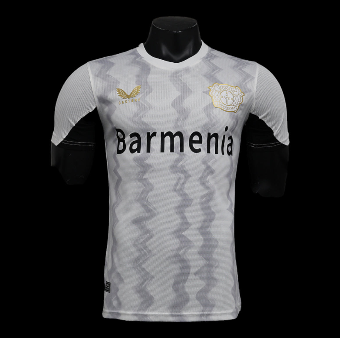 Camiseta del Bayer Leverkusen 24/25