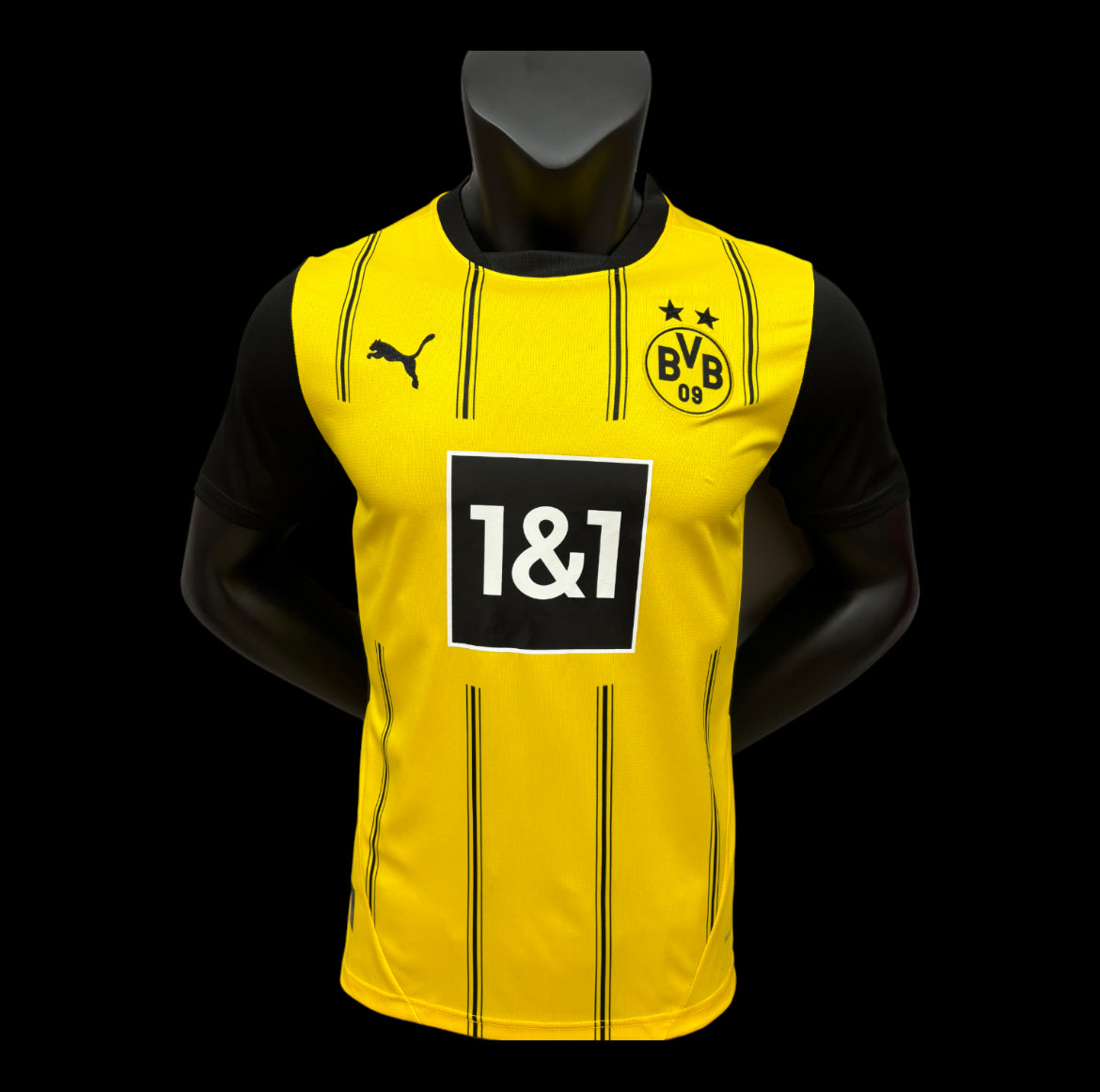 Dortmund 24/25 jersey